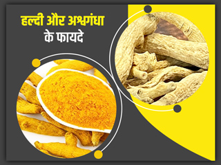 हल्दी और अश्वगंधा के सेवन से मिलते हैं ये 6 फायदे, एक्सपर्ट से जानें कैसे करें प्रयोग  